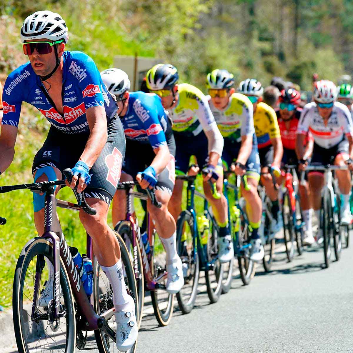 Pelotón de una carrera de ciclismo